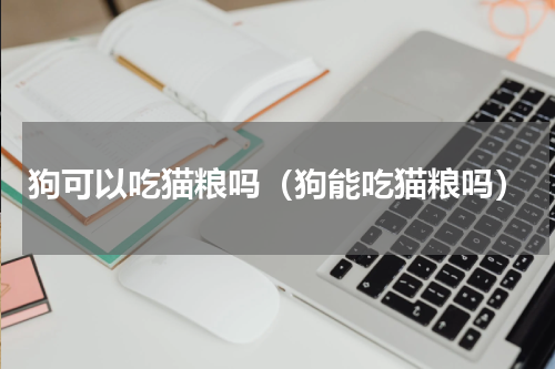 狗可以吃猫粮吗（狗能吃猫粮吗）