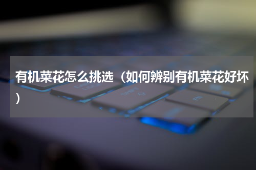 有机菜花怎么挑选（如何辨别有机菜花好坏）