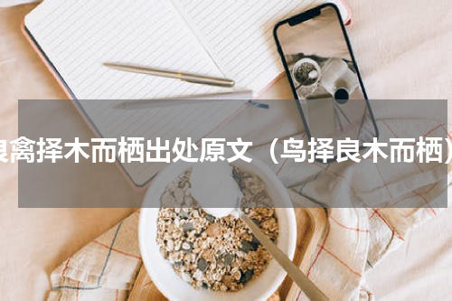 良禽择木而栖出处原文（鸟择良木而栖）
