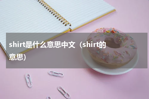 shirt是什么意思中文（shirt的意思）