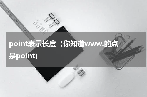 point表示长度（你知道www.的点是point）