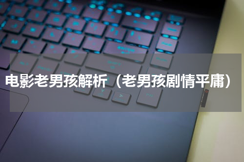 电影老男孩解析（老男孩剧情平庸）