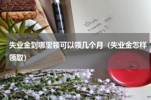 失业金到哪里领可以领几个月（失业金怎样领取）