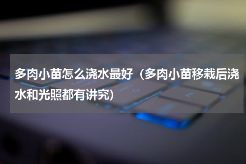 多肉小苗怎么浇水最好（多肉小苗移栽后浇水和光照都有讲究）