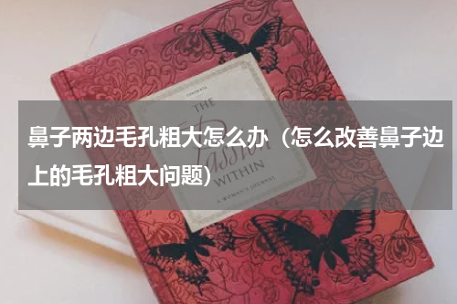 鼻子两边毛孔粗大怎么办（怎么改善鼻子边上的毛孔粗大问题）