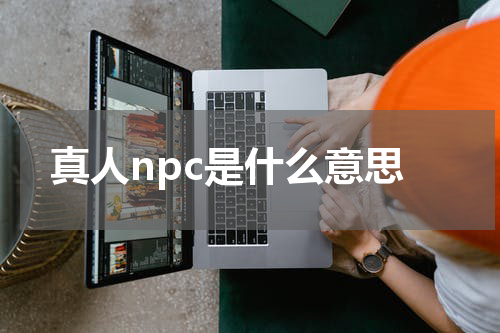 真人npc是什么意思