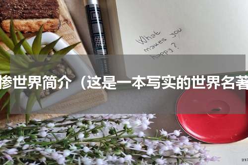 悲惨世界简介（这是一本写实的世界名著）