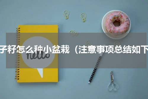 柚子籽怎么种小盆栽（注意事项总结如下）