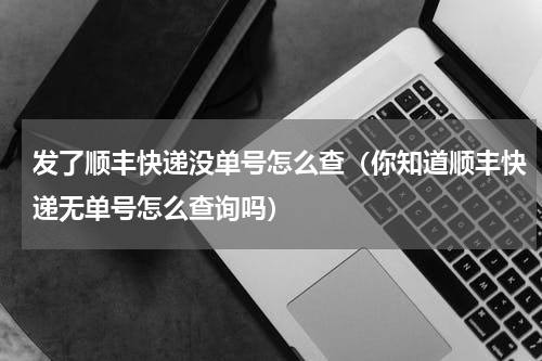 发了顺丰快递没单号怎么查（你知道顺丰快递无单号怎么查询吗）