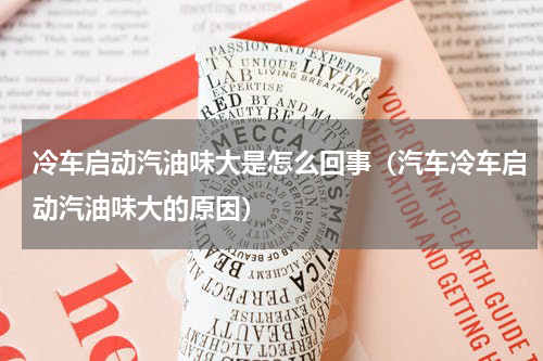 冷车启动汽油味大是怎么回事（汽车冷车启动汽油味大的原因）