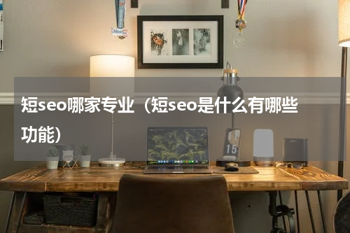 短seo哪家专业（短seo是什么有哪些功能）