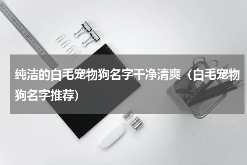 纯洁的白毛宠物狗名字干净清爽（白毛宠物狗名字推荐）