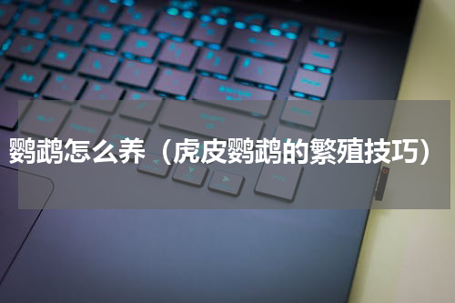 鹦鹉怎么养（虎皮鹦鹉的繁殖技巧）