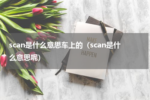 scan是什么意思车上的（scan是什么意思呢）