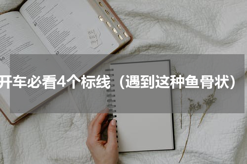 开车必看4个标线（遇到这种鱼骨状）