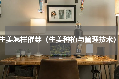 生姜怎样催芽（生姜种植与管理技术）