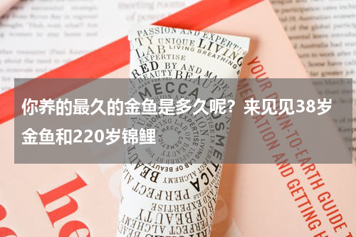 你养的最久的金鱼是多久呢？来见见38岁金鱼和220岁锦鲤