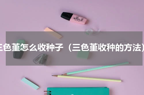 三色堇怎么收种子（三色堇收种的方法）