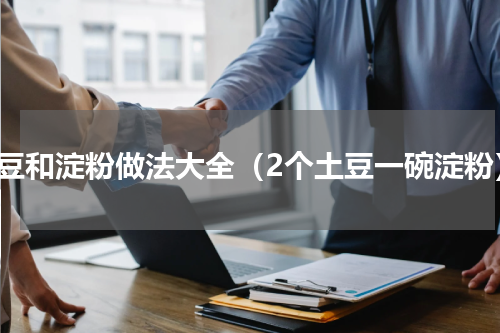 土豆和淀粉做法大全（2个土豆一碗淀粉）