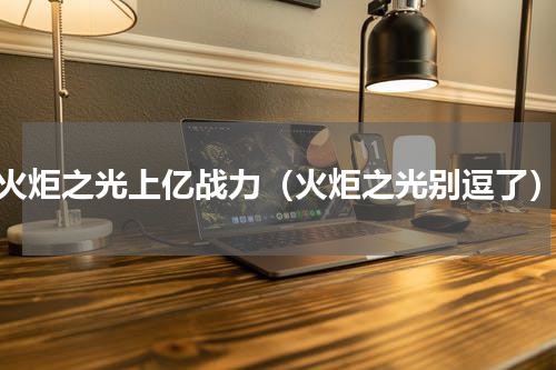 火炬之光上亿战力（火炬之光别逗了）