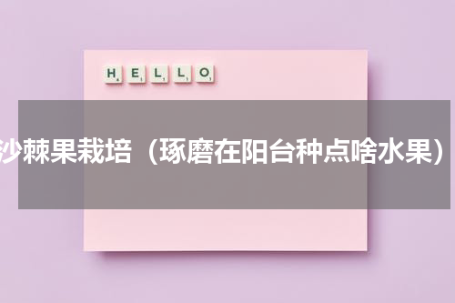 沙棘果栽培（琢磨在阳台种点啥水果）