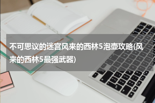 不可思议的迷宫风来的西林5泡壶攻略(风来的西林5最强武器)