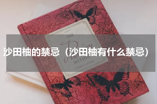 沙田柚的禁忌（沙田柚有什么禁忌）