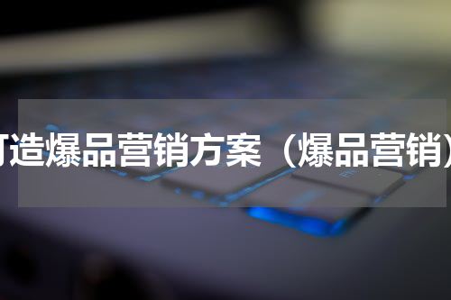 打造爆品营销方案（爆品营销）