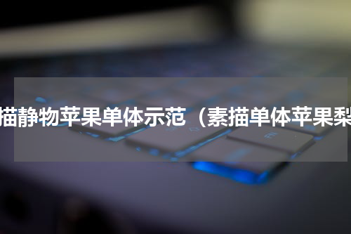素描静物苹果单体示范（素描单体苹果梨）