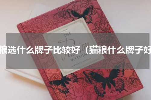 猫粮选什么牌子比较好（猫粮什么牌子好）