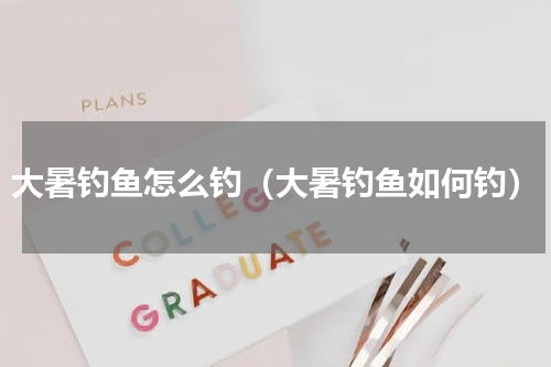 大暑钓鱼怎么钓（大暑钓鱼如何钓）