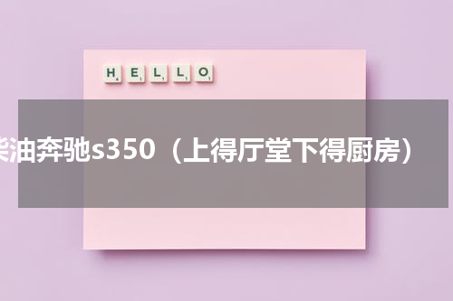 柴油奔驰s350（上得厅堂下得厨房）