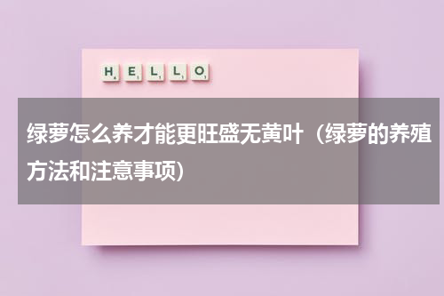 绿萝怎么养才能更旺盛无黄叶（绿萝的养殖方法和注意事项）