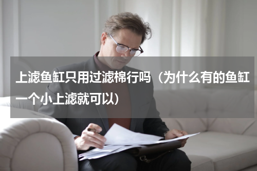 上滤鱼缸只用过滤棉行吗（为什么有的鱼缸一个小上滤就可以）