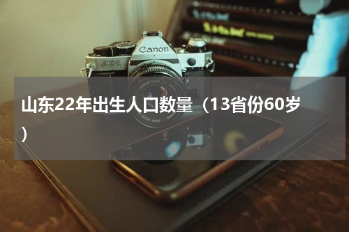 山东22年出生人口数量（13省份60岁）