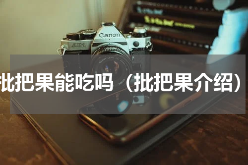 批把果能吃吗（批把果介绍）