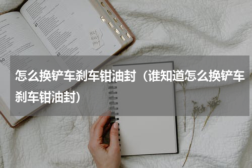 怎么换铲车刹车钳油封（谁知道怎么换铲车刹车钳油封）