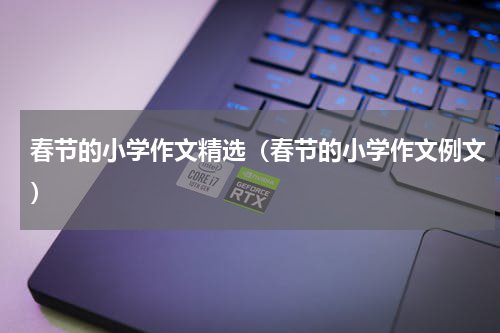 春节的小学作文精选（春节的小学作文例文）