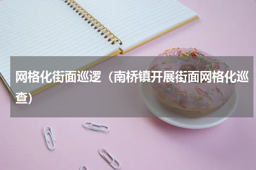 网格化街面巡逻（南桥镇开展街面网格化巡查）