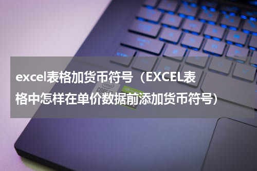 excel表格加货币符号（EXCEL表格中怎样在单价数据前添加货币符号）