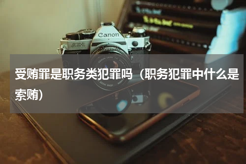 受贿罪是职务类犯罪吗（职务犯罪中什么是索贿）