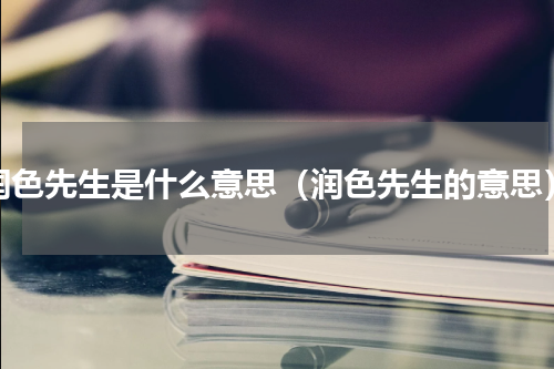 润色先生是什么意思（润色先生的意思）