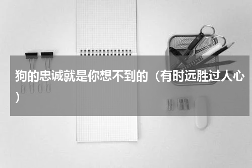 狗的忠诚就是你想不到的（有时远胜过人心）