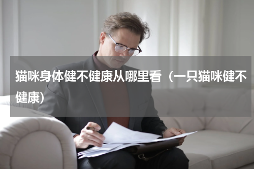猫咪身体健不健康从哪里看（一只猫咪健不健康）