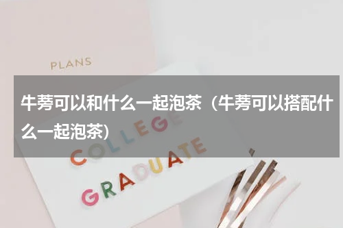 牛蒡可以和什么一起泡茶（牛蒡可以搭配什么一起泡茶）