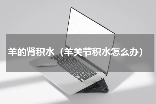 羊的肾积水（羊关节积水怎么办）