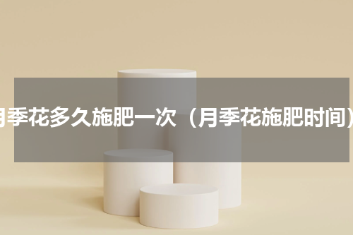 月季花多久施肥一次（月季花施肥时间）