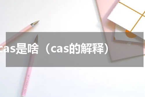 cas是啥（cas的解释）