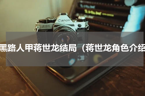反黑路人甲蒋世龙结局（蒋世龙角色介绍）
