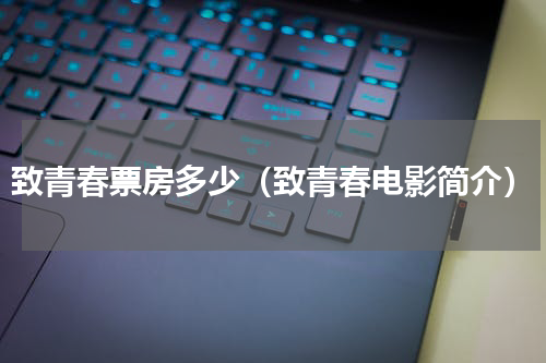 致青春票房多少（致青春电影简介）